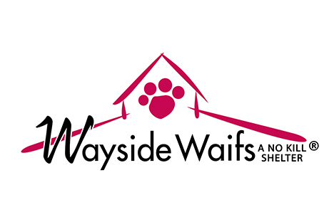 Wayside Waifs Animal Shelter